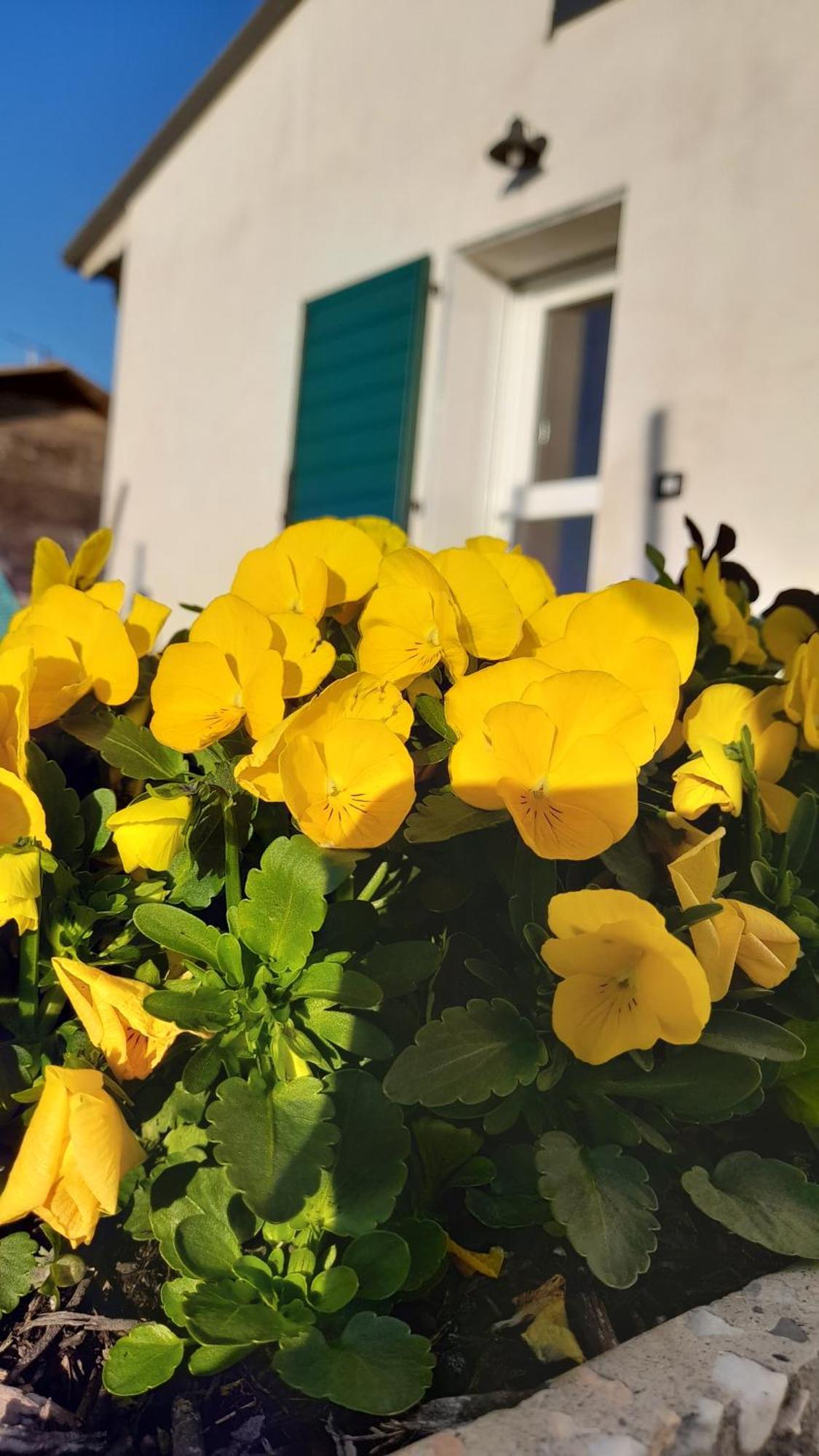 B&B Casa Pascolone ペゴニャーガ 部屋 写真