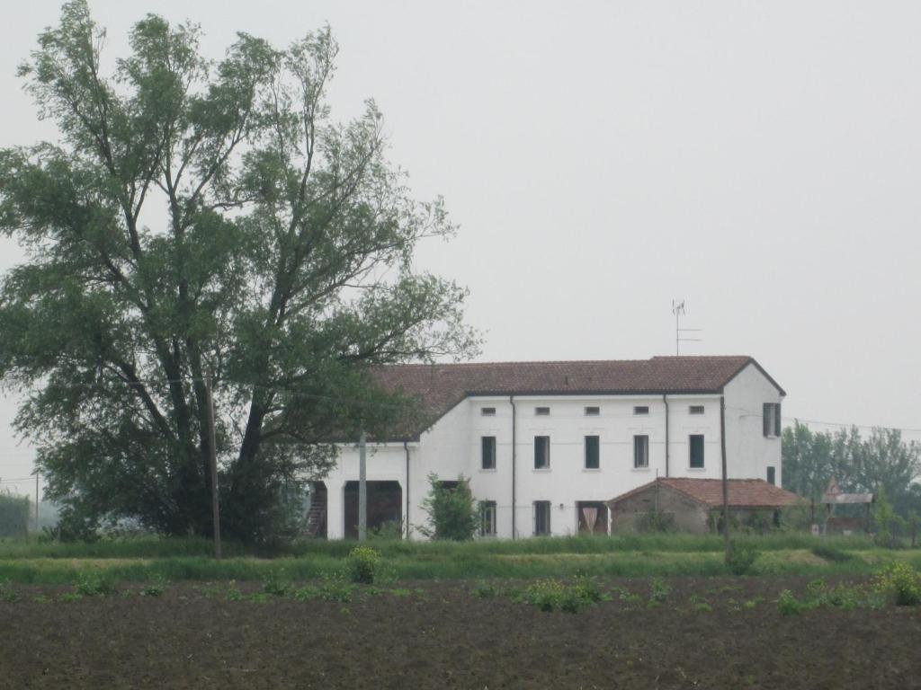 B&B Casa Pascolone ペゴニャーガ エクステリア 写真